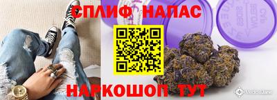 каннабис Будённовск