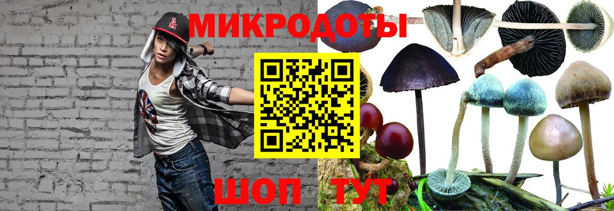Псилоцибиновые грибы MAGIC MUSHROOMS Смоленск