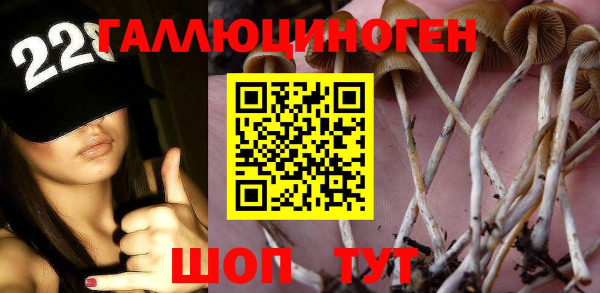 Смоленск  Галлюциногенные грибы GOLDEN TEACHER  Вход с VPN 